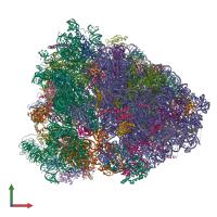 PDB entry 6p5i coloured by chain, front view.