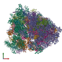 PDB entry 6p5i coloured by chain, front view.