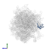 60S ribosomal protein L7a in PDB entry 6p5n, assembly 1, side view.
