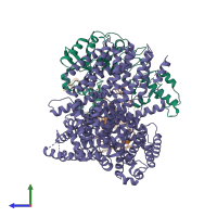 Hetero tetrameric assembly 1 of PDB entry 6p7v coloured by chemically distinct molecules, side view.