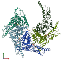 PDB entry 6pdw coloured by chain, front view.