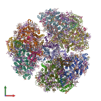 PDB entry 6pfy coloured by chain, front view.