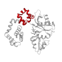 The deposited structure of PDB entry 6pkz contains 1 copy of Pfam domain PF10391 (Fingers domain of DNA polymerase lambda) in DNA polymerase beta. Showing 1 copy in chain A.