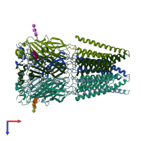 PDB entry 6pm5 coloured by chain, top view.