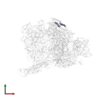 Large tegument protein deneddylase in PDB entry 6ppb, assembly 1, front view.