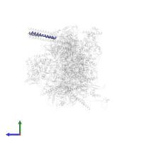 Large tegument protein deneddylase in PDB entry 6ppb, assembly 1, side view.