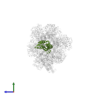 ATP synthase gamma chain in PDB entry 6pqv, assembly 1, side view.