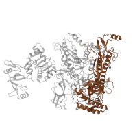 The deposited structure of PDB entry 6pst contains 1 copy of Pfam domain PF00562 (RNA polymerase Rpb2, domain 6) in DNA-directed RNA polymerase subunit beta. Showing 1 copy in chain G [auth I].