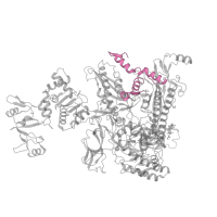 The deposited structure of PDB entry 6pst contains 1 copy of Pfam domain PF04560 (RNA polymerase Rpb2, domain 7) in DNA-directed RNA polymerase subunit beta. Showing 1 copy in chain G [auth I].