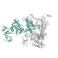 The deposited structure of PDB entry 6pst contains 1 copy of Pfam domain PF04563 (RNA polymerase beta subunit) in DNA-directed RNA polymerase subunit beta. Showing 1 copy in chain G [auth I].