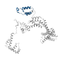 The deposited structure of PDB entry 6pst contains 1 copy of Pfam domain PF03979 (Sigma-70 factor, region 1.1) in RNA polymerase sigma factor RpoD. Showing 1 copy in chain J [auth L].