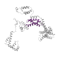 The deposited structure of PDB entry 6pst contains 1 copy of Pfam domain PF04542 (Sigma-70 region 2 ) in RNA polymerase sigma factor RpoD. Showing 1 copy in chain J [auth L].