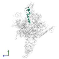 Protein TraR in PDB entry 6pst, assembly 1, side view.
