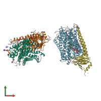 PDB entry 6pw0 coloured by chain, front view.