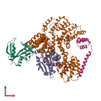 PDB entry 6pw9 coloured by chain, front view.