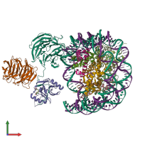 PDB entry 6pww coloured by chain, front view.