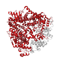 The deposited structure of PDB entry 6pzk contains 1 copy of Pfam domain PF00946 (Mononegavirales RNA dependent RNA polymerase ) in RNA-directed RNA polymerase L. Showing 1 copy in chain A.