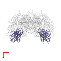 NA-73 fragment antibody light chain in PDB entry 6pzy, assembly 1, top view.
