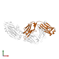 H1244 Fab lambda chain in PDB entry 6q18, assembly 1, front view.