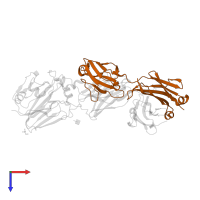 H1244 Fab lambda chain in PDB entry 6q18, assembly 1, top view.