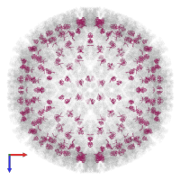 Triplex capsid protein 1 in PDB entry 6q1f, assembly 1, top view.