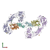 PDB entry 6q2s coloured by chain, front view.