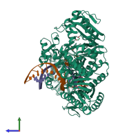 PDB entry 6q4t coloured by chain, side view.