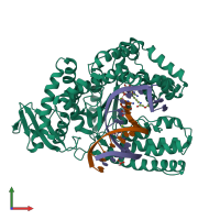 PDB entry 6q4u coloured by chain, front view.