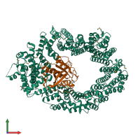PDB entry 6q82 coloured by chain, front view.