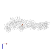 Aureothin in PDB entry 6q8w, assembly 1, top view.