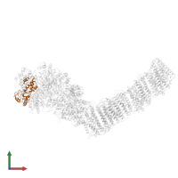 NADH-quinone oxidoreductase subunit 2 in PDB entry 6q8w, assembly 1, front view.