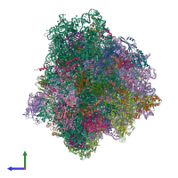 PDB entry 6q8y coloured by chain, side view.