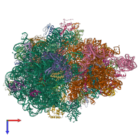 PDB entry 6q98 coloured by chain, top view.