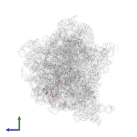 Large ribosomal subunit protein uL23 in PDB entry 6q98, assembly 1, side view.