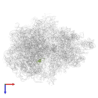 Large ribosomal subunit protein bL33 in PDB entry 6q98, assembly 1, top view.