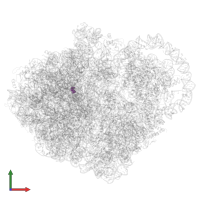 Modified residue OMG in PDB entry 6q98, assembly 1, front view.