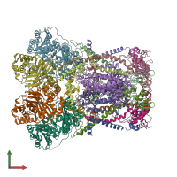 PDB entry 6q9e coloured by chain, front view.