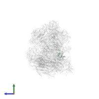 NADH dehydrogenase [ubiquinone] 1 alpha subcomplex subunit 12 in PDB entry 6qbx, assembly 1, side view.