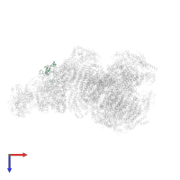 NADH dehydrogenase [ubiquinone] 1 alpha subcomplex subunit 12 in PDB entry 6qbx, assembly 1, top view.