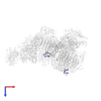 Acyl carrier protein in PDB entry 6qbx, assembly 1, top view.