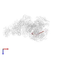 NADH dehydrogenase [ubiquinone] 1 beta subcomplex subunit 8, mitochondrial in PDB entry 6qbx, assembly 1, top view.