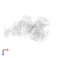 NDUFC1 in PDB entry 6qbx, assembly 1, top view.