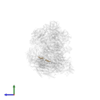 1,2-DIACYL-SN-GLYCERO-3-PHOSPHOETHANOLAMINE in PDB entry 6qbx, assembly 1, side view.