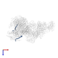 Ubiquinol-cytochrome c reductase, complex III subunit X in PDB entry 6qc4, assembly 1, top view.