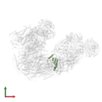 NADH-ubiquinone oxidoreductase chain 6 in PDB entry 6qc4, assembly 1, front view.