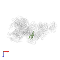 NADH-ubiquinone oxidoreductase chain 6 in PDB entry 6qc4, assembly 1, top view.