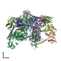 PDB entry 6qel coloured by chain, front view.