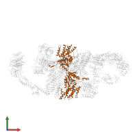 Translation initiation factor eIF-2B subunit beta in PDB entry 6qg5, assembly 1, front view.