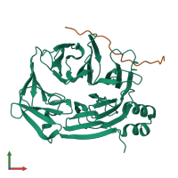 PDB entry 6qnn coloured by chain, front view.