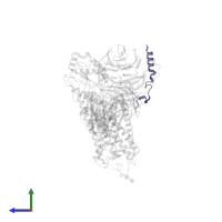 Guanine nucleotide-binding protein G(T) subunit gamma-T1 in PDB entry 6qno, assembly 1, side view.